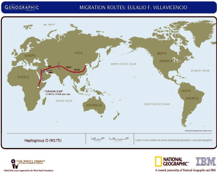 Migration Route